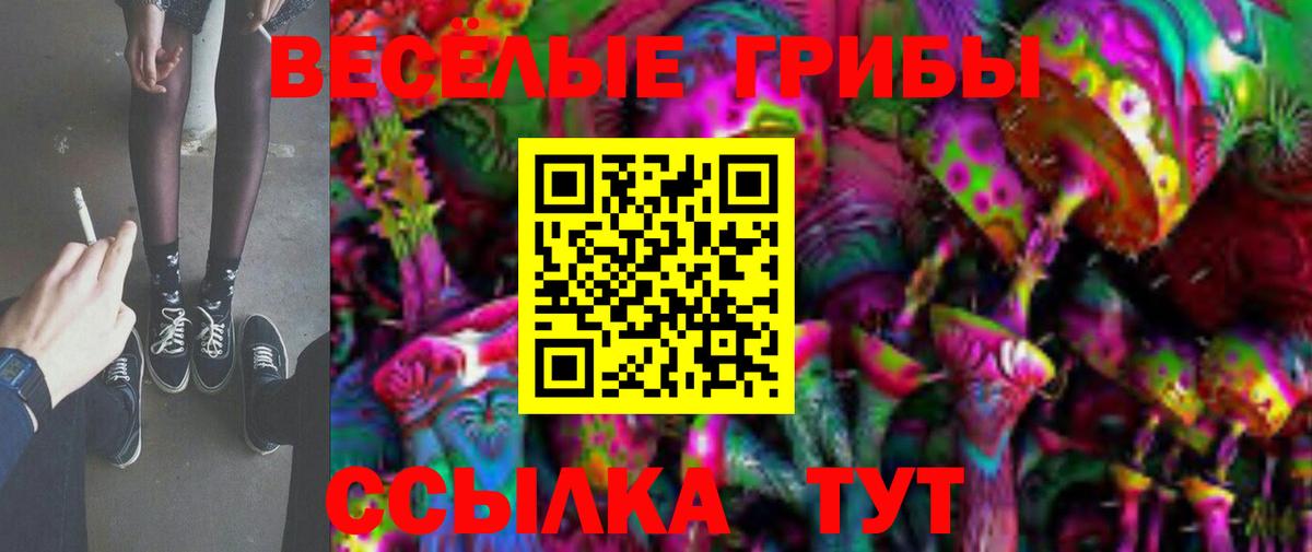 купить наркотик  Галлюциногенные грибы Psilocybine cubensis  Галлюциногенные грибы MAGIC MUSHROOMS  Вход с VPN  Евпатория 